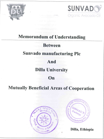 DILLA UNIVERSITY AND SANVADO PLC